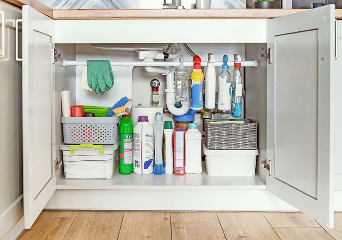 WhatsApp Image 2026-01-24 at 2.50.50 PM