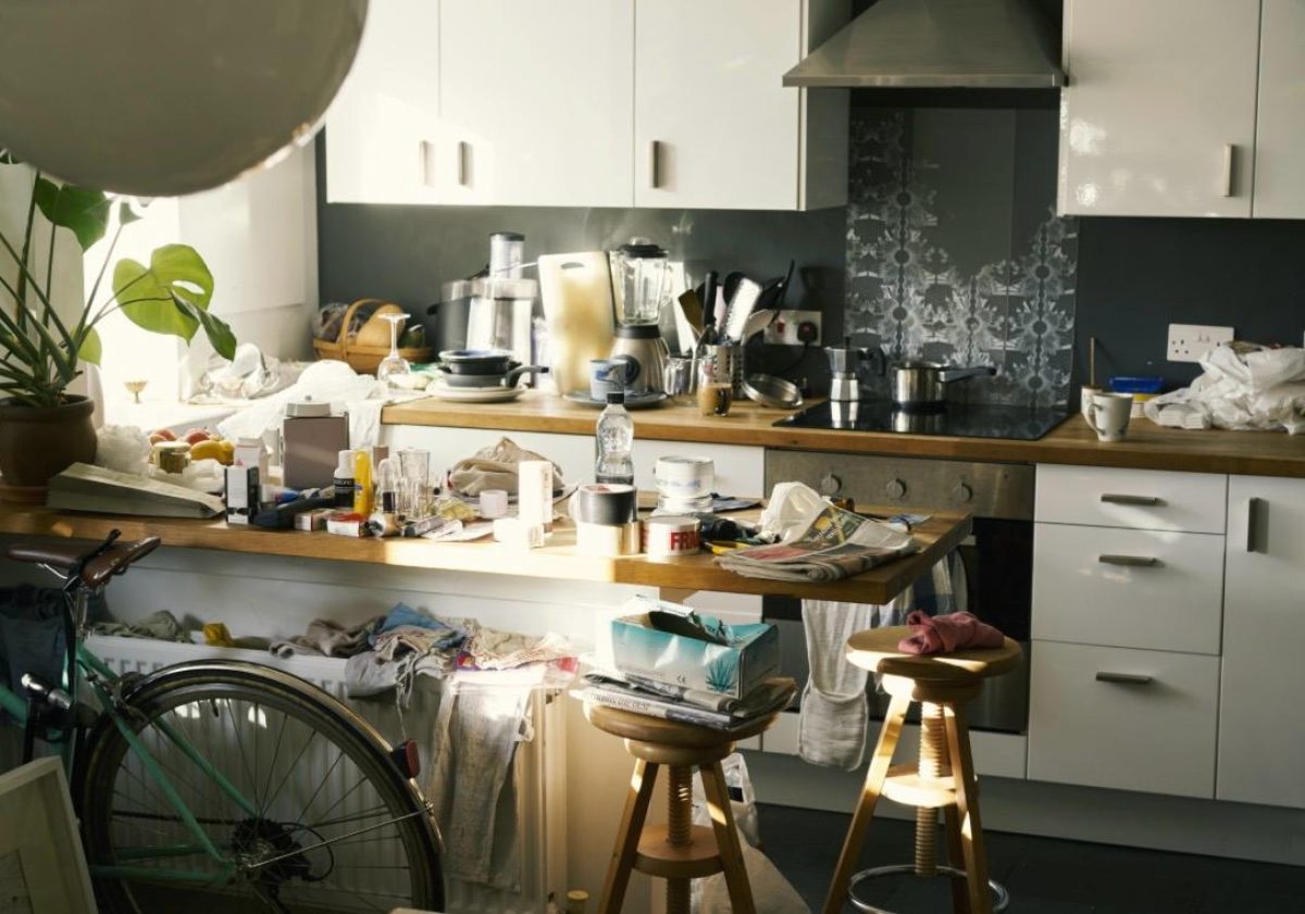 WhatsApp Image 2026-02-12 at 8.55.55 PM